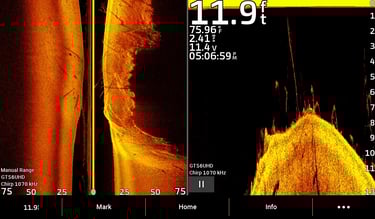 achigan sur imagerie verticale dans les branches
