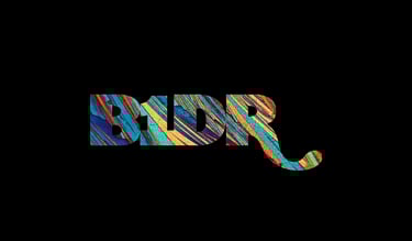B1DR logo