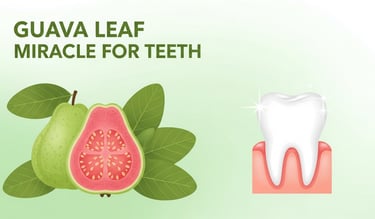अमरूद पत्तों से बने मोरिन आधारित हर्बल उपचार द्वारा मसूड़ों की बीमारी का प्राकृतिक इलाज