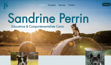 web design comportementaliste canin 