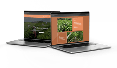 Dos laptops con una web en el interior