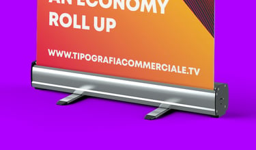 Roll up in vendita a treviso
