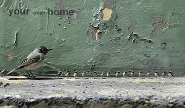 small bird with tiny birds