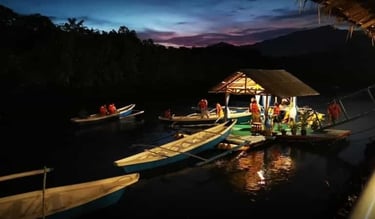 Firefly watching Puerto Princesa Palawan