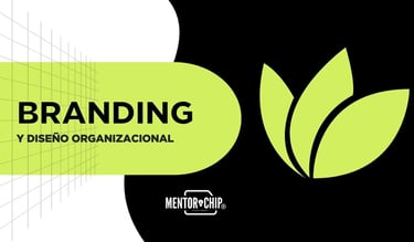 Branding y diseño organizacional: una herramienta en un curso presencial.