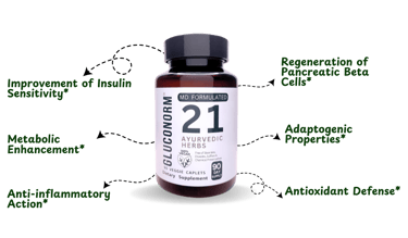 How GlucoNorm controls blood sugar levels and maintains healthy glucose levels in the blood.