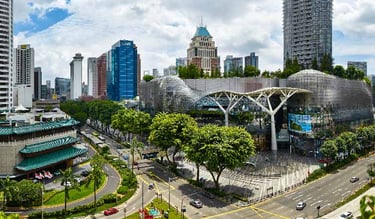 this is orchard road in singapore, with shopping malls and high-end luxury shops
