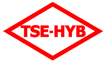 tse, tse belgesi, hyb belgesi, hyb belgesi almak, hyb belge almak, hizmet belgesi al