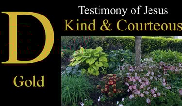 D - Kind & Courteous