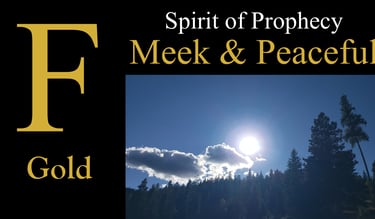 F. Meek & Peaceful