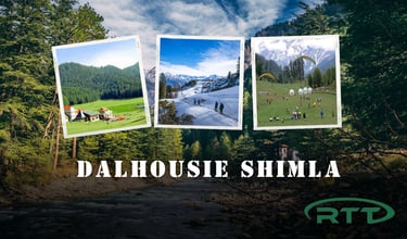 a group of people are taking pictures of themselves in the mountains