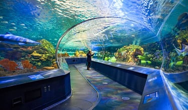 Ripleys Aquarium Shark Tunnel, supports and metal work done by Pengelly