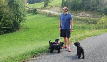 Eleveur et ses Schnauzers en balade