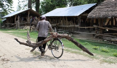 villageois ayant ramassé du bois