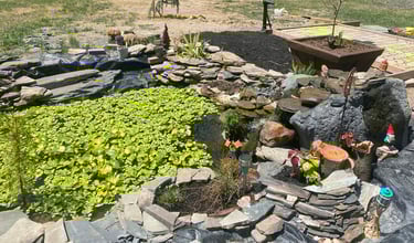 Pond Installation 