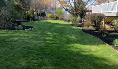 Residential Property Mowing