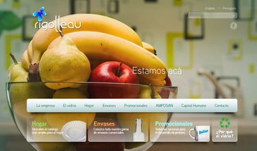 Primer sitio desarrollado para Rigolleau Argentina