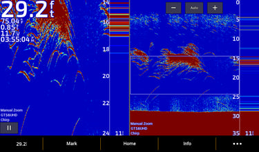 Garmin 2D sonar images of baitfish and bass
