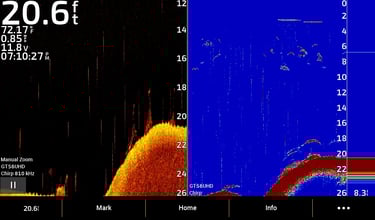 Down Imaging sonar (left) showing suspended bass over weeds 
