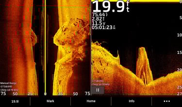 side imaging sonar showing hard and soft bottoms
