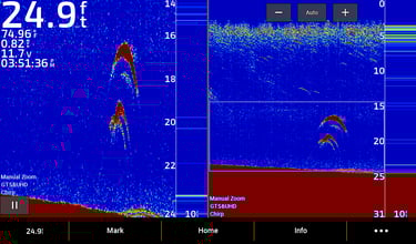 2D bass above bottom of lake