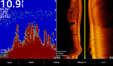 suspended bass on 2D and side imaging on Garmin sonar