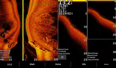 side imaging and down imaging sonar of bass and weeds