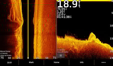 side and down imaging weeds and structures