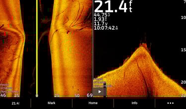 Garmin sonar images of branches and rocks on side view and down view