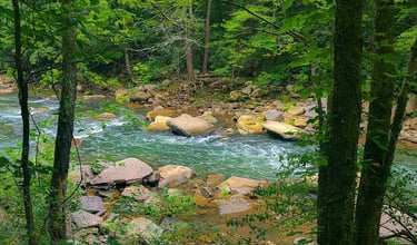 Soddy Daisy, TN - The gorgeous blue-green waters of Soddy Creek on the Big Soddy Creek Gulf trail