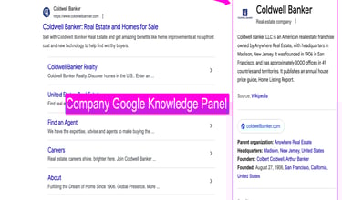 Company Google Knowledge Panel