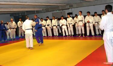 Judo Club Aijaku  - Paris XV