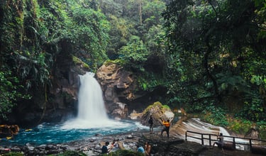 Lush Waterfall in Costa Rica Tropical Jungle Setting