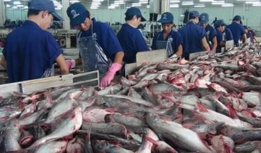 seamorny - vietnamese crab supplier