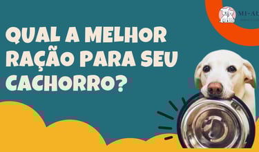 Melhor ração para cachorro