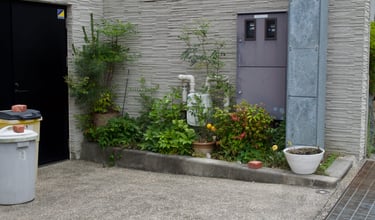 garden in Japan jardin au japon