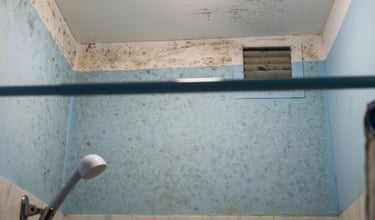 Black mold growth on a bathroom ceiling and blue walls near a shower head and ventilation vent.