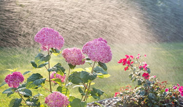 Irrigation repair company