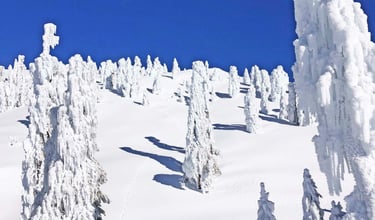 Icy Winter Conditions on the Baldy Bowl Trail | Mount San Antonio (Mount Baldy) | San Gabriel Mountains