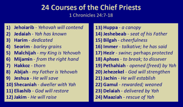 The 24 Courses of the Chief Priests - 1 Ch 24