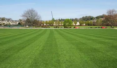 lawn grass suppliers in Andhra Pradesh