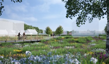 Vue d’un espace naturel aménagé dans le lotissement Domaine du Parc à Belbeuf près de Rouen