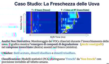 IMS: Caso Studio: Freschezza delle Uova