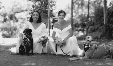 Madrid wedding photographer