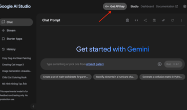 Google AI Studio Website Get API