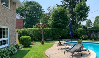 hedge and shrubs trimmed and perfectly shaped