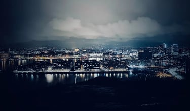 Oslo Port - Norway - the smuggler next door، deception, art exhibition Zainab abdulkarim