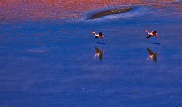 Uyuni Salt Flats Sajama Photo Tour