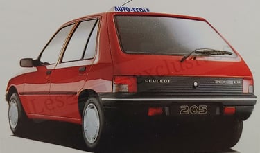 Peugeot 205 auto-ecole brochure
