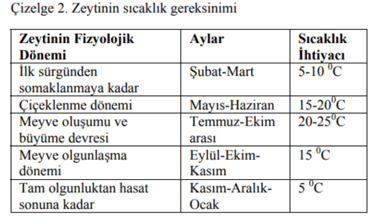 zeytin csıcaklık gereksinimi - itoga çiftliği